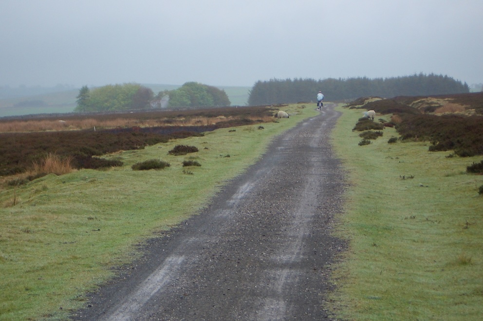 A gravel path flanked by moorland; peter in distance.